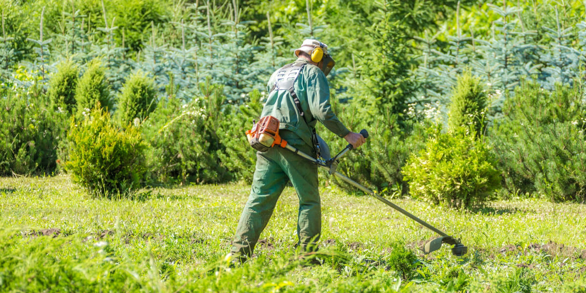 Покос триммером